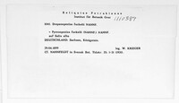 Image Associated With the Occurence